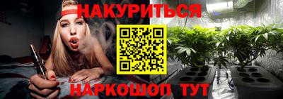 индика Абакан