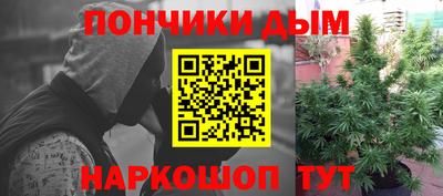 индика Абакан