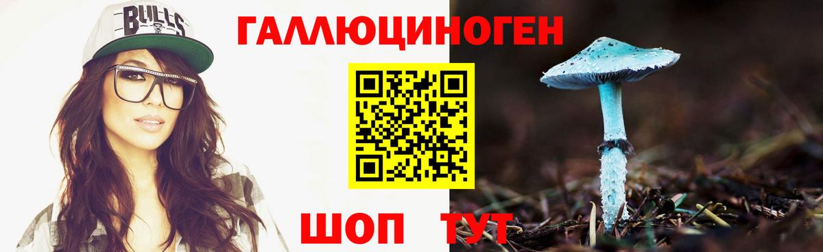 Азнакаево  Галлюциногенные грибы Psilocybe  Вход с VPN 